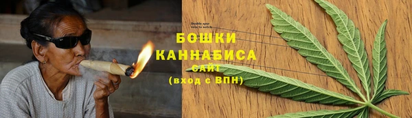 PSILOCYBIN Балахна