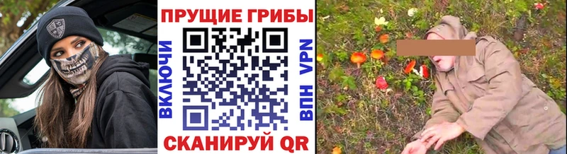 Псилоцибиновые грибы прущие грибы  Славск 